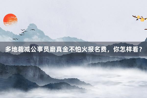 多地裁减公事员磨真金不怕火报名费，你怎样看？